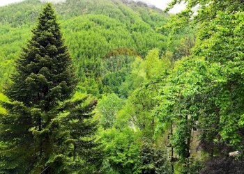 Giardino - Villa Groscavallo - foto 18