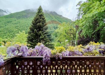 Vista delle montagne - Villa Groscavallo - foto 38