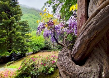 Giardino - Villa Groscavallo - foto 63