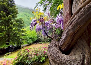 Giardino - Villa Groscavallo - foto 64