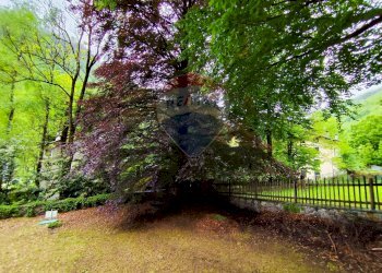 Giardino - Villa Groscavallo - foto 71