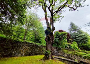 Giardino - Villa Groscavallo - foto 81