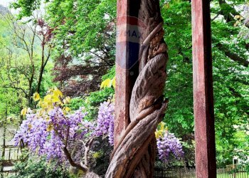 Non correlato - Villa Groscavallo - foto 86