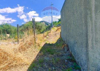Vista delle montagne - Terreno agricolo SP6, Motta Camastra - foto 10