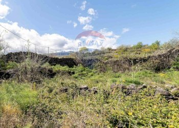 Vista delle montagne - Terreno agricolo C.DA millicucchita
 
snc, Castiglione di Sicilia - foto 7