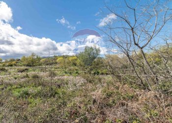 Vista delle montagne - Terreno agricolo C.DA millicucchita
 
snc, Castiglione di Sicilia - foto 14