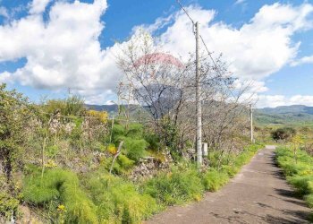 Giardino - Terreno agricolo C.DA millicucchita
 
snc, Castiglione di Sicilia - foto 16