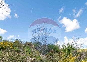 Non correlato - Terreno agricolo C.DA millicucchita
 
snc, Castiglione di Sicilia - foto 17