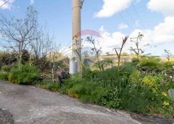 Giardino - Terreno agricolo C.DA millicucchita
 
snc, Castiglione di Sicilia - foto 20