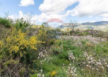 Vista delle montagne - Terreno agricolo C.DA millicucchita
 
snc, Castiglione di Sicilia - foto 21