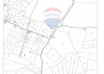 Pianta 2D - Terreno agricolo C.DA millicucchita
 
snc, Castiglione di Sicilia - foto 26
