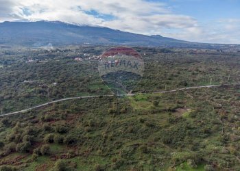 Vista delle montagne - Terreno agricolo C.DA millicucchita
 
snc, Castiglione di Sicilia - foto 24
