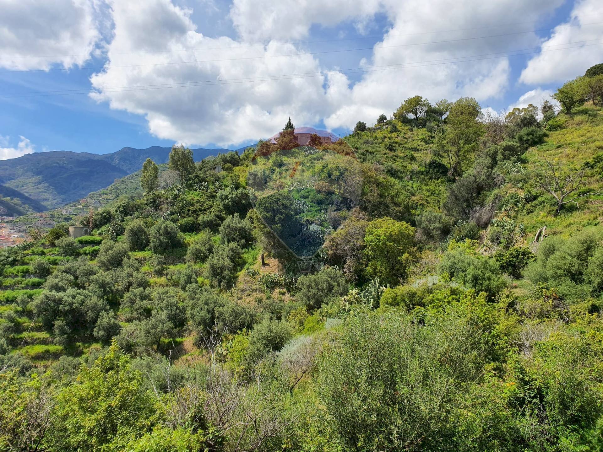 Vista delle montagne - Terreno agricolo CONTRADA REALE VILLAGGIO SANTA MARGHERITA
 
SNC, Messina - foto 2