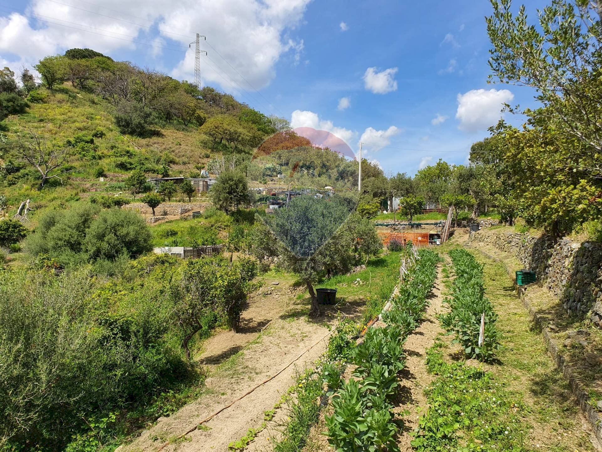 Vista delle montagne - Terreno agricolo CONTRADA REALE VILLAGGIO SANTA MARGHERITA
 
SNC, Messina - foto 3