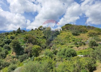 Vista delle montagne - Terreno agricolo CONTRADA REALE VILLAGGIO SANTA MARGHERITA
 
SNC, Messina - foto 4