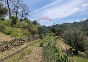 Vista delle montagne - Terreno agricolo CONTRADA REALE VILLAGGIO SANTA MARGHERITA
 
SNC, Messina - foto 9