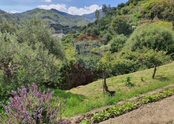 Vista delle montagne - Terreno agricolo CONTRADA REALE VILLAGGIO SANTA MARGHERITA
 
SNC, Messina - foto 13
