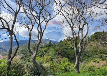 Vista delle montagne - Terreno agricolo CONTRADA REALE VILLAGGIO SANTA MARGHERITA
 
SNC, Messina - foto 15
