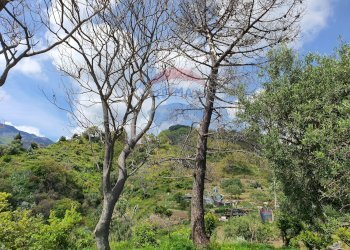 Vista delle montagne - Terreno agricolo CONTRADA REALE VILLAGGIO SANTA MARGHERITA
 
SNC, Messina - foto 16