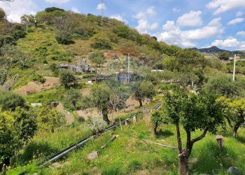 Vista delle montagne - Terreno agricolo CONTRADA REALE VILLAGGIO SANTA MARGHERITA
 
SNC, Messina - foto 19