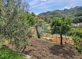 Vista delle montagne - Terreno agricolo CONTRADA REALE VILLAGGIO SANTA MARGHERITA
 
SNC, Messina - foto 24