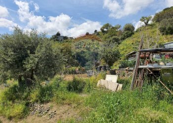 Giardino - Terreno agricolo CONTRADA REALE VILLAGGIO SANTA MARGHERITA
 
SNC, Messina - foto 27
