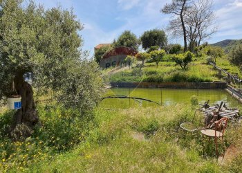 Giardino - Terreno agricolo CONTRADA REALE VILLAGGIO SANTA MARGHERITA
 
SNC, Messina - foto 33