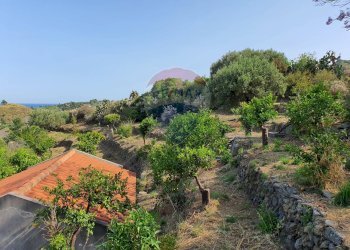 Giardino - Terreno agricolo CONTRADA REALE VILLAGGIO SANTA MARGHERITA
 
SNC, Messina - foto 36