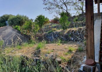 Giardino - Terreno agricolo CONTRADA REALE VILLAGGIO SANTA MARGHERITA
 
SNC, Messina - foto 37