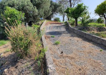 Giardino - Terreno agricolo VILLAGGIO SANTA MARGHERITA CONTRADA REALE
 
SNC, Messina - foto 1