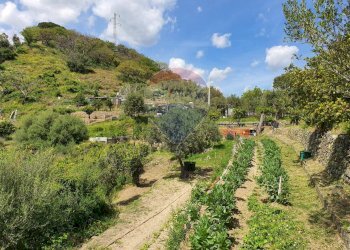 Vista delle montagne - Terreno agricolo VILLAGGIO SANTA MARGHERITA CONTRADA REALE
 
SNC, Messina - foto 4