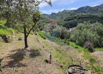 Vista delle montagne - Terreno agricolo VILLAGGIO SANTA MARGHERITA CONTRADA REALE
 
SNC, Messina - foto 11