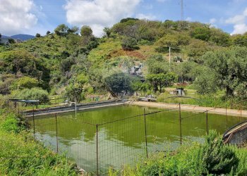 Vista delle montagne - Terreno agricolo VILLAGGIO SANTA MARGHERITA CONTRADA REALE
 
SNC, Messina - foto 20