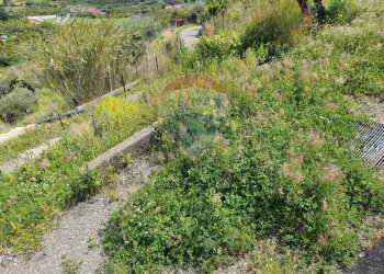 Vista delle montagne - Terreno agricolo VILLAGGIO SANTA MARGHERITA CONTRADA REALE
 
SNC, Messina - foto 22