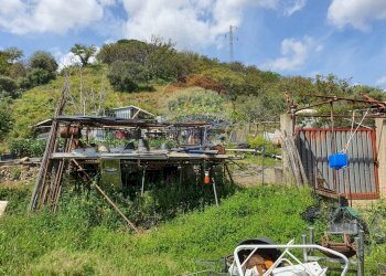 Giardino - Terreno agricolo VILLAGGIO SANTA MARGHERITA CONTRADA REALE
 
SNC, Messina - foto 25