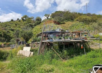 Casa all\'aperto - Terreno agricolo VILLAGGIO SANTA MARGHERITA CONTRADA REALE
 
SNC, Messina - foto 26