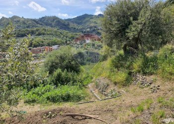 Vista delle montagne - Terreno agricolo VILLAGGIO SANTA MARGHERITA CONTRADA REALE
 
SNC, Messina - foto 28