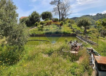 Giardino - Terreno agricolo VILLAGGIO SANTA MARGHERITA CONTRADA REALE
 
SNC, Messina - foto 29