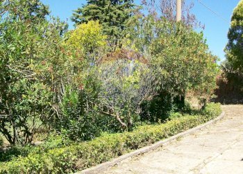 Giardino - Villa Contrada Gatta S:P: 65, Piazza Armerina - foto 17