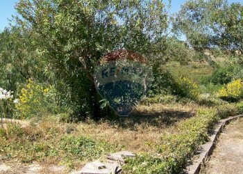 Giardino - Villa Contrada Gatta S:P: 65, Piazza Armerina - foto 4