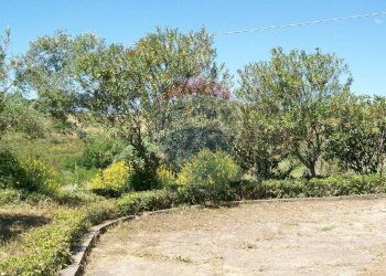 Giardino - Villa Contrada Gatta S:P: 65, Piazza Armerina - foto 16