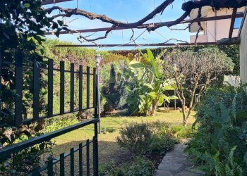 Giardino - Casa semi indipendente VIA SEMINARA, Valverde - foto 18