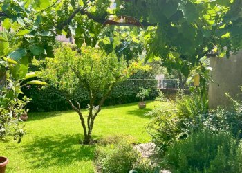 Giardino - Casa semi indipendente VIA SEMINARA, Valverde - foto 19