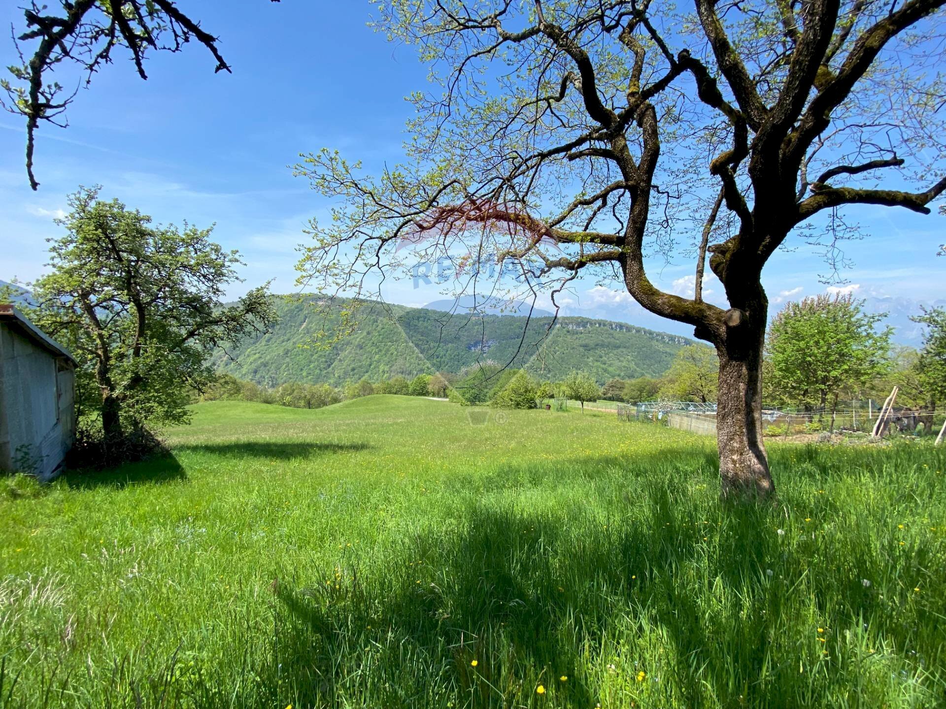 Vista delle montagne - Rustic Belluno - photo 2