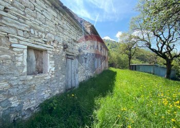 Giardino - Rustico Belluno - foto 5