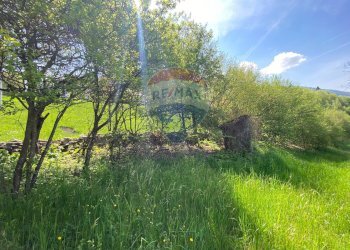 Giardino - Rustico Belluno - foto 6