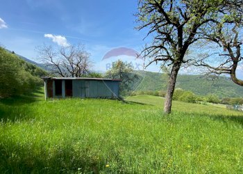 Giardino - Rustico Belluno - foto 7