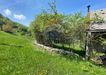 Giardino - Rustico Belluno - foto 9