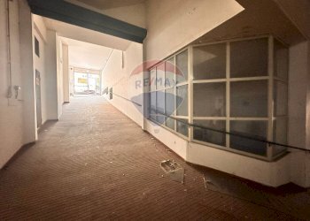 Hall / corridoio - Box Ancona - foto 10