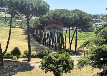 Giardino - Villa Via della Tenutella
 
74, Albano Laziale - foto 68